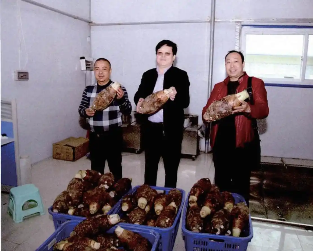 2025120316423563-1024x821-1